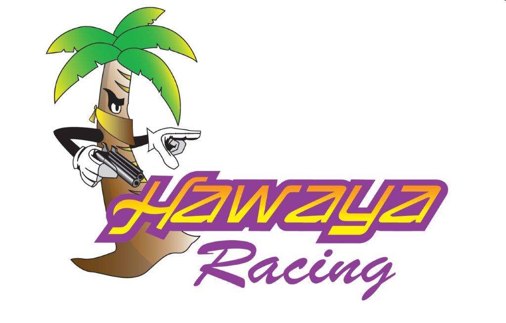 Cartoon palm tree mascot holding guns with text reading: Hawai'i Racing